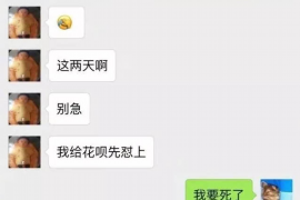 丽水丽水的要账公司在催收过程中的策略和技巧有哪些？